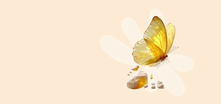 Программа обследования перед ЭКО для женщин